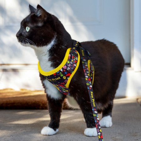 Amigo Pet Harness Promotional Products