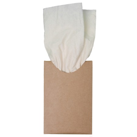 Bamboo Tissues Promotional Products