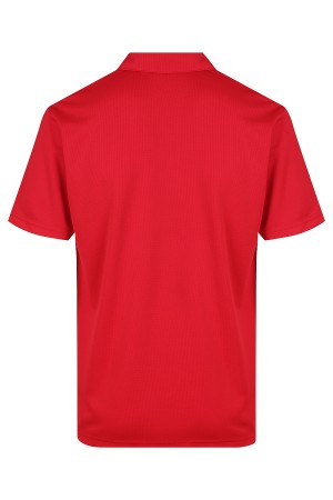 Botany Mens Polos - N1307 Promotional Products