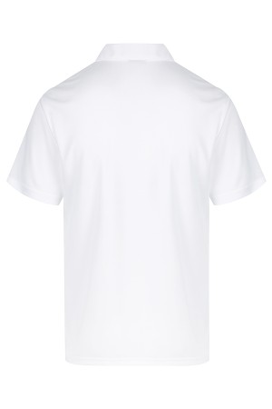 Botany Mens Polos - N1307 Promotional Products