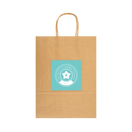 Express Paper Bag Large Promotional Products