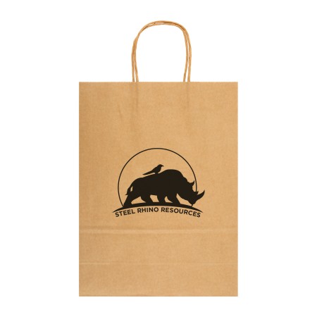 Express Paper Bag Large Promotional Products