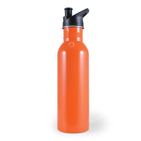 Hike Bottle  Promotional Products