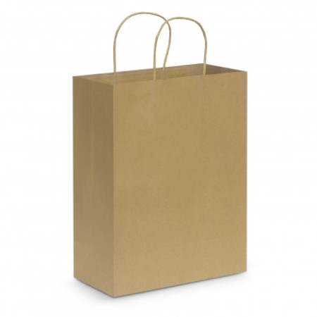 Paper Carry Bag - Large Promotional Products