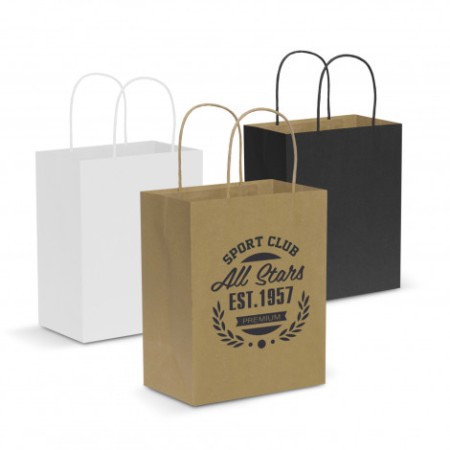 Paper Carry Bag - Medium Promotional Products