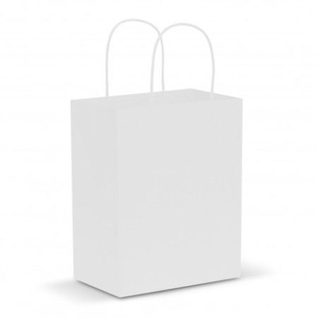 Paper Carry Bag - Medium Promotional Products