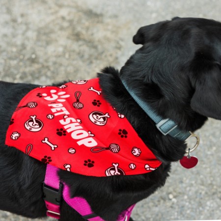 Pet Bandana - Large Promotional Products