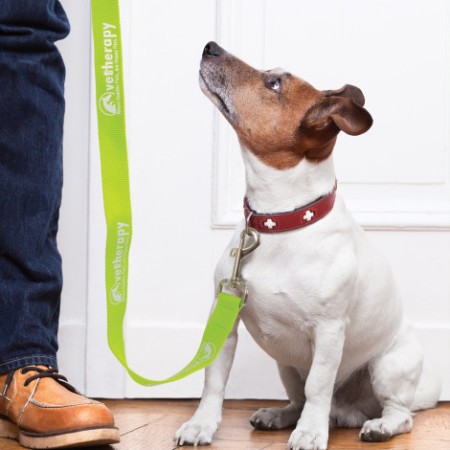 Trek Dog Leash Promotional Products