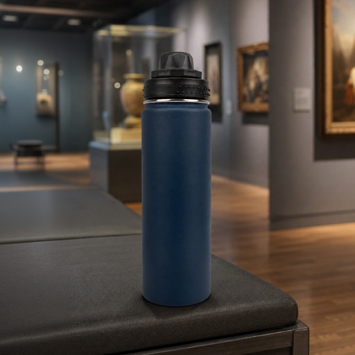 LL6960 - Mystique 650ml Stainless Steel Vacuum Bottle - 11.jpg
