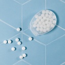 LL062 - Egg Shape Sugar Free Breath Mints - 8.jpg