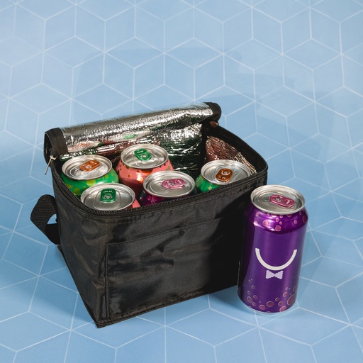 LL2320 - Alpine Cooler Bag - 20.jpg