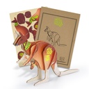 TR124044 - BRANDCRAFT Kangaroo Wooden Model - 2.jpg