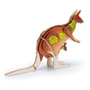 TR124044 - BRANDCRAFT Kangaroo Wooden Model - 4.jpg