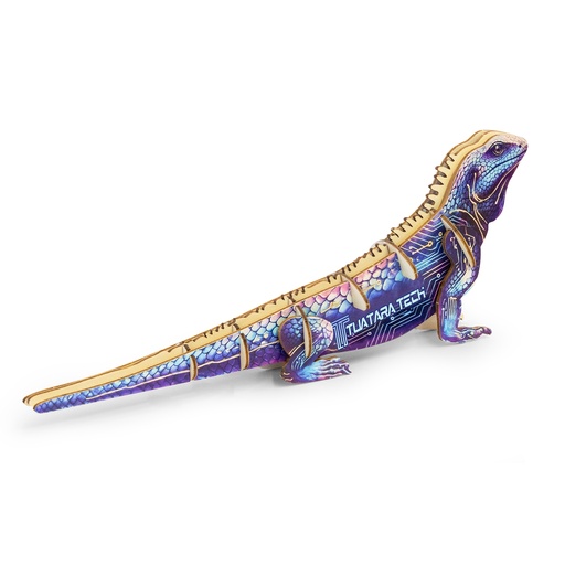 TR124046 - BRANDCRAFT Tuatara Wooden Model - 3.jpg