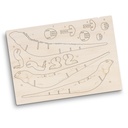 TR124046 - BRANDCRAFT Tuatara Wooden Model - 9.jpg