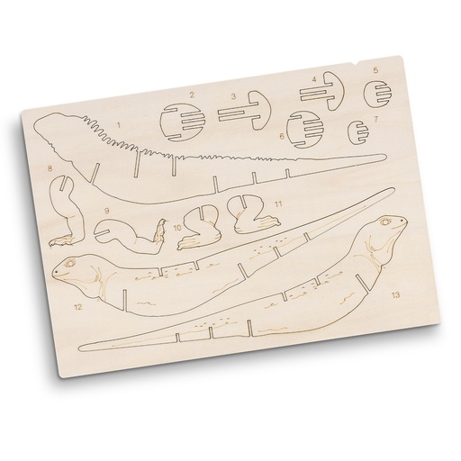 TR124046 - BRANDCRAFT Tuatara Wooden Model - 9.jpg