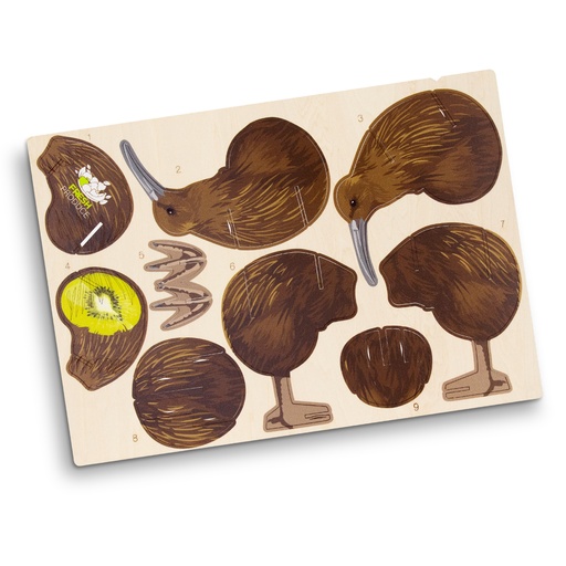 TR124049 - BRANDCRAFT Kiwi Wooden Model - 6.jpg