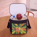 TR134297 - Franz Lunch Cooler Bag - 8.jpg