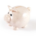 LL3600 - World's Smallest Pig Eco Coin Bank - 6.jpg