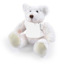 LL40883 - Frosty Plush Teddy Bear - 4.jpg