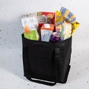 LL521 - Tundra Cooler  Shopping Bag - 7.jpg