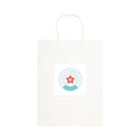 LL549 - Express Paper Bag Large - 6.jpg