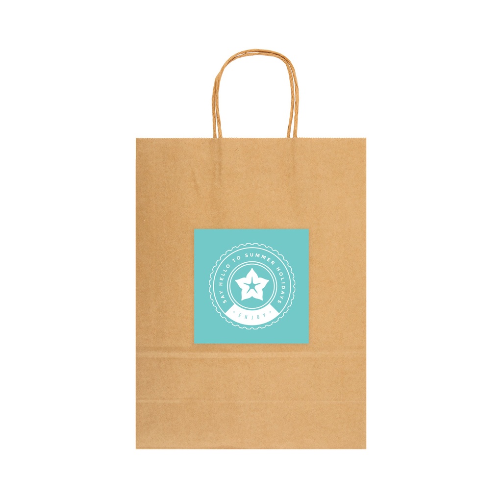 LL549 - Express Paper Bag Large - 10.jpg