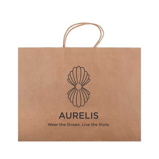 LL562 - Express Paper Bag Extra Large - 9.jpg