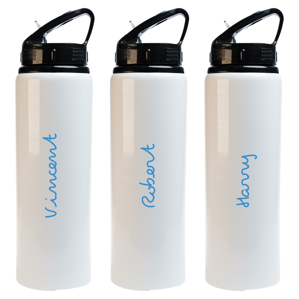 LL6956 - Amore 750ml Bottle - Flip Straw Lid - 32.jpg