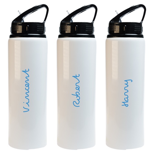 LL6956 - Amore 750ml Bottle - Flip Straw Lid - 32.jpg