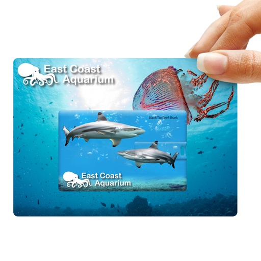 LL9605 - Credit Card Flash Drive - 3.jpg