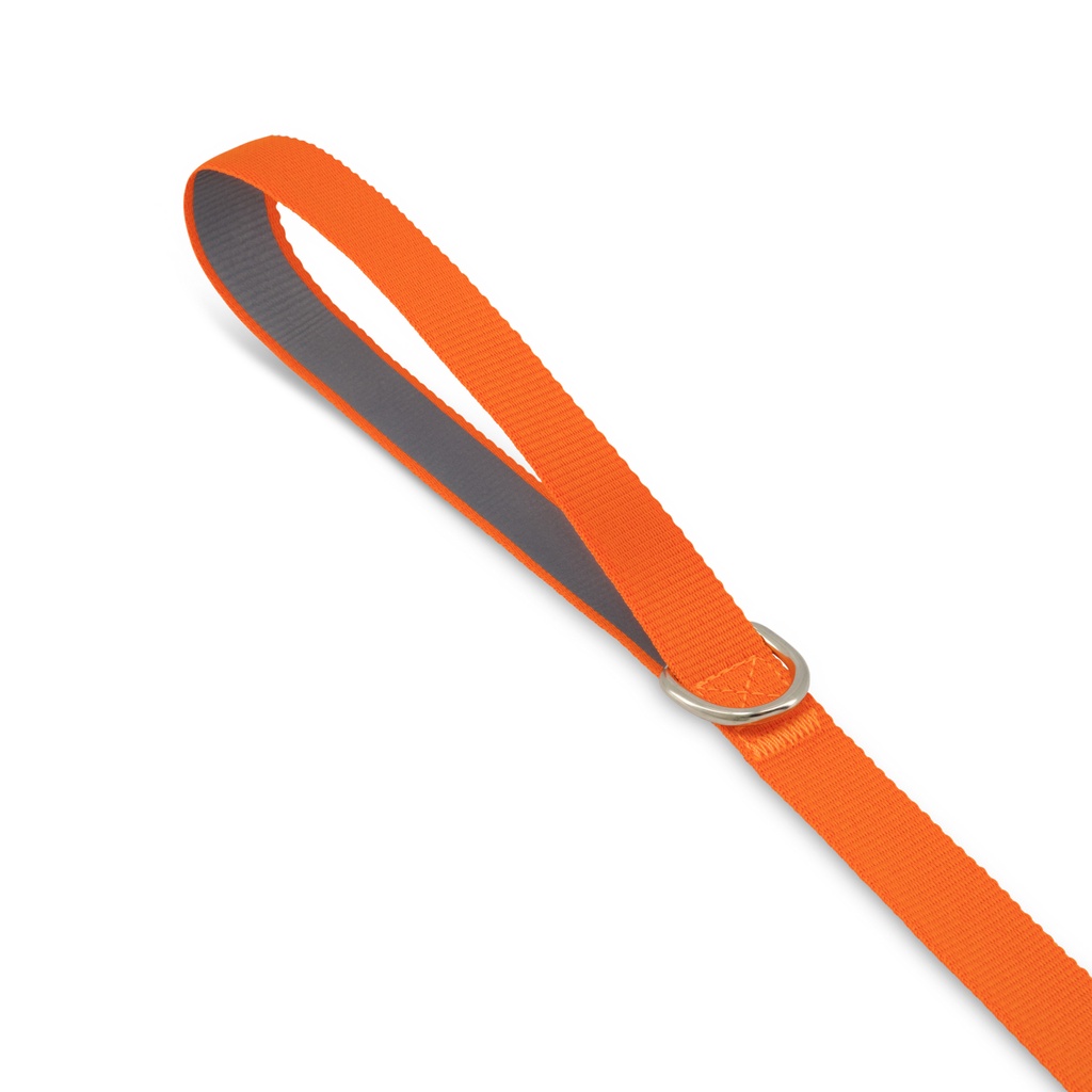 LN7615 - Printed Dog Lead - 13.jpg