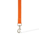 LN7615 - Printed Dog Lead - 14.jpg