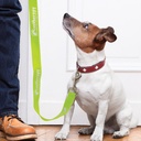 TR110798 - Trek Dog Leash - 14.jpg
