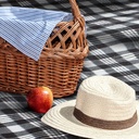 TR112565 - Dakota Picnic Blanket - 3.jpg