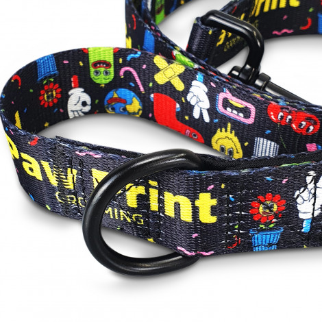 TR125069 - Amigo Dog Leash - 4.jpg