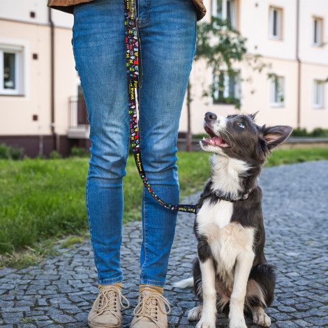 TR125069 - Amigo Dog Leash - 5.jpg
