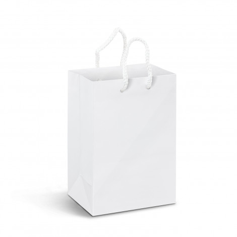TR116934 - Small Laminated Paper Carry Bag - Full Colour - 2.jpg