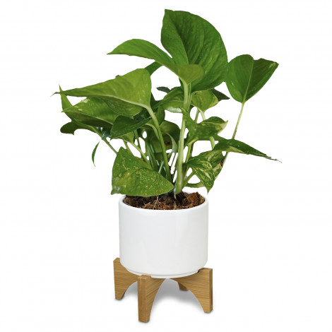 TR120901 - Planter with Bamboo Base - 4.jpg
