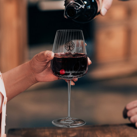 TR123298 - Luigi Bormioli Optica Bordeaux Glass - 4.jpg