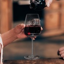 TR123298 - Luigi Bormioli Optica Bordeaux Glass - 4.jpg