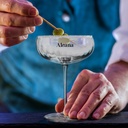 TR123299 - Luigi Bormioli Optica Cocktail Glass - 4.jpg