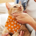 TR123658 - Pet Bandana - Small - 2.jpg