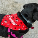 TR123660 - Pet Bandana - Large - 2.jpg