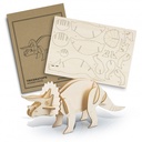 TR124056 - BRANDCRAFT Triceratops Wooden Model - 2.jpg