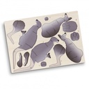 TR124044 - BRANDCRAFT Kangaroo Wooden Model - 5.jpg