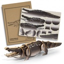 TR124045 - BRANDCRAFT Crocodile Wooden Model - 2.jpg