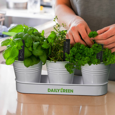 TR126961 - Keepsake Herb Planter - 4.jpg