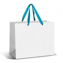 TR127179 - Large Ribbon Handle Paper Bag - Full Colour - 2.jpg