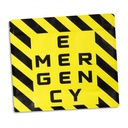 TR127994 - Foil Flat Bottom Pouch - Large - 2.jpg